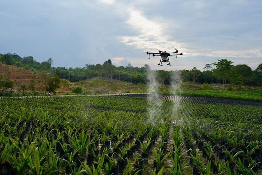 Precision Agriculture with Spraying Drone