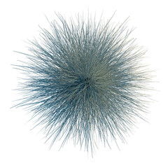 Festuca glauca tree plan, top view, cutout, transparent background, isolate, Abstract spiky orb with intricate detail, perfect for modern design use
