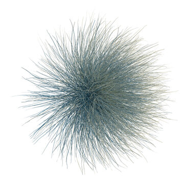 Festuca glauca tree plan, top view, cutout, transparent background, isolate, Abstract sphere with intricate spiky texture for futuristic designs