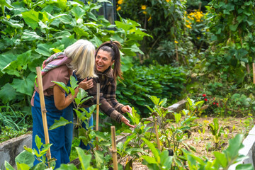 Women gardening together, bonding in an organic garden