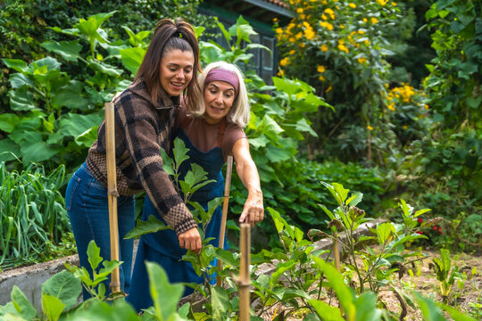 Mother and daughter bonding while gardening together