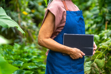 Gardener woman holding tablet analyzing plants in garden