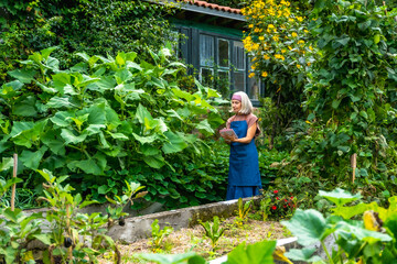 Senior woman gardening, taking notes in vegetable garden