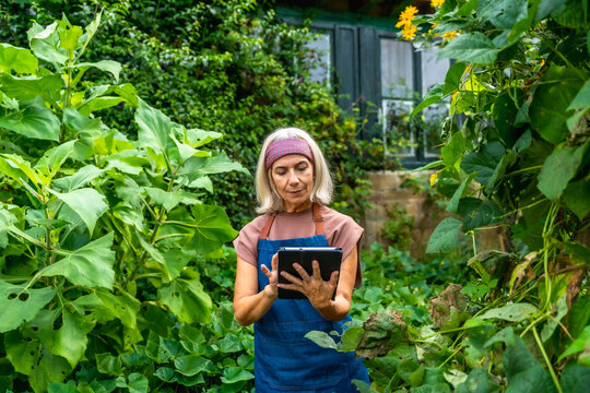 Senior woman using tablet for smart gardening and plant care