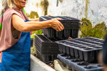 Senior woman stacking seed trays for planting in greenhouse