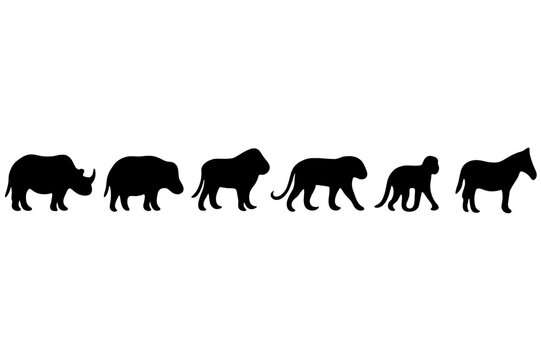 Silhouettes of various animals in a row depicting the diversity of wildlife in a simple yet striking design