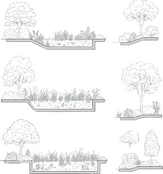 Create Architectural Drawings, Minimal style cad tree line drawing, Side view, set of section garden, wetland forest outline for landscape design drawing. Vector illustration in separate element shrub