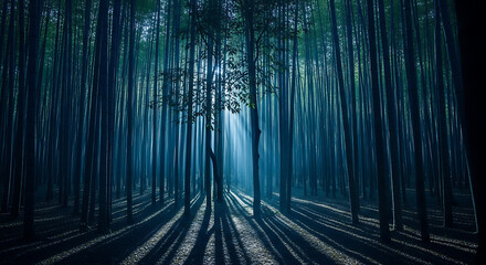 wallpaper Forest Light Beams