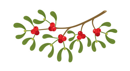 Mistletoe winter christmas holiday tree decoration
