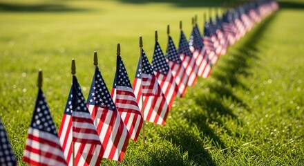 A patriotic array of small flags creating a powerful visual tribute, meticulously placed in neat rows across a verdant field, symbolizing national pride and solemn remembrance