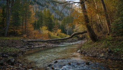 Creek with flowing water, tree trunks and green foliage, seasonal change, spring