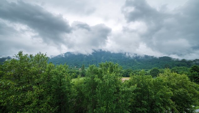 A scenic landscape featuring lush green trees alongside a foggy mountain range beneath an overcast sky, emphasizing natural beauty - Powered by Adobe