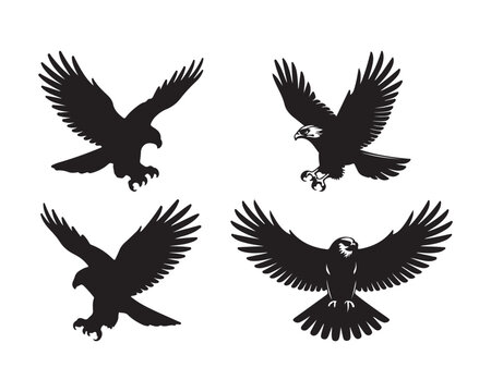 hawk silhouette, hawk vector, hawk collection, hawk set, bird of prey silhouette, flying hawk, hunting hawk, soaring hawk, majestic hawk design, forest hawk silhouette, sky hunter hawk vector