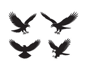 hawk silhouette, hawk vector, hawk collection, hawk set, bird of prey silhouette, flying hawk, hunting hawk, soaring hawk, majestic hawk design, forest hawk silhouette, sky hunter hawk vector