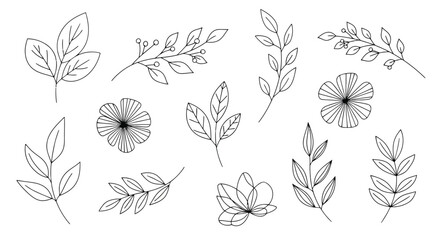 Handdrawn leaf and flower set