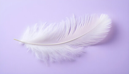 Single white ostrich feather floats on gradient purple background. Soft fluffy texture and light delicate structure convey purity and grace