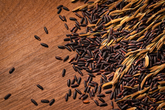 A close-up shot of some black rice and rice ears arranged on a wooden table. Close-up of rice ears and black rice. Black rice and rice ears are scattered together.	