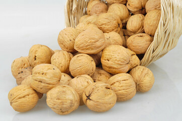White background of the walnut