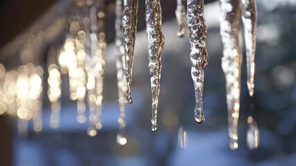 A captivating close-up captures glistening icicles as they slowly melt under natural light, showcasing the delicate beauty of winter's transition. Clear water droplets form and gracefully drip from th - Powered by Adobe