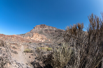 Hiking in deserted landscapes of Teide National Park, Tenerife, Canary Islands