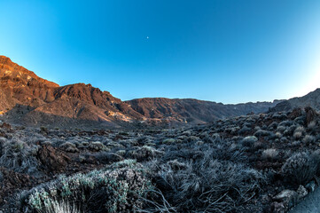Hiking in deserted landscapes of Teide National Park, Tenerife, Canary Islands