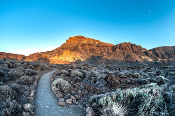 Hiking in deserted landscapes of Teide National Park, Tenerife, Canary Islands