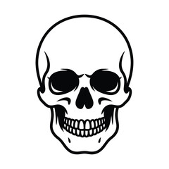 Obraz premium A detailed black and white illustration of a human skull, showcasing its anatomical structure and intricate details