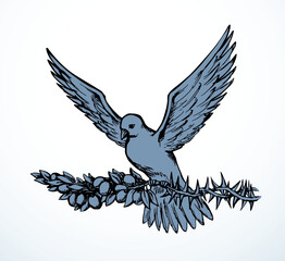 Vector drawing. Dove on the thorn branch