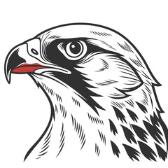 Obraz premium White back ground a black and white illustration of a red colour Sparrow face.