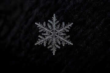 The fleeting, architectural beauty of a single snowflake, a unique ice crystal, isolated against a dark background.