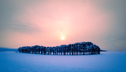 A view of a vast snowy field and forested hills at sunrise