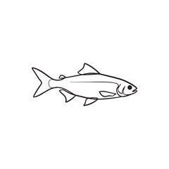 Simple Fish Outline Drawing