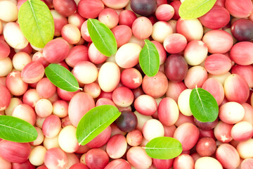 colorful bengal-currantbackground, Background of fresh Bengal-currant or Carandas-plum or Karanda fruits with green leaves top view flat lay stack selective focus