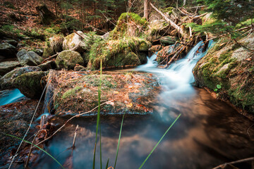 Leśny strumyk, potok, las , drzewa, natura, mech, kamienie, skały,  © Adrian Jaśpiński