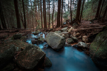 Leśny strumyk, potok, las , drzewa, natura, mech, kamienie, skały, 