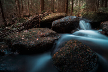 Leśny strumyk, potok, las , drzewa, natura, mech, kamienie, skały,  © Adrian Jaśpiński