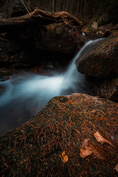 Leśny strumyk, potok, las , drzewa, natura, mech, kamienie, skały, 