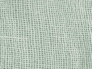 rough Burlap texture in soft green