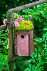 Birdhouse covered with moss and pink roses