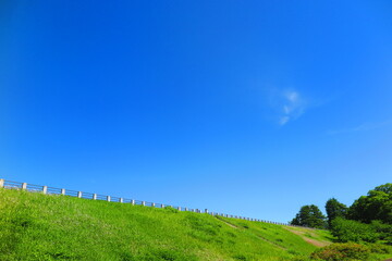 快晴の青空と緑の草が生い茂る堤体の歩道の風景8
