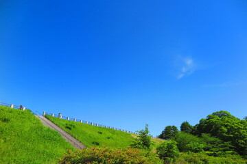 快晴の青空と緑の草が生い茂る堤体の歩道の風景7