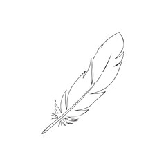 Graceful and elegant simple line art feather drawing