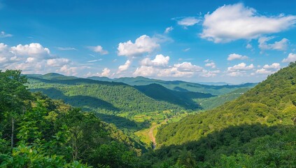 Naklejka premium Lush green valley under bright sunlight, ideal for outdoor activities