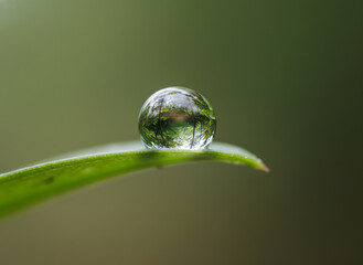 Water droplet on a green leaf reflecting nature