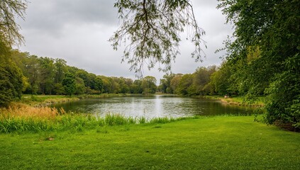 Summertime scene of a green park with a lake under overcast skies, showcasing seasonal change