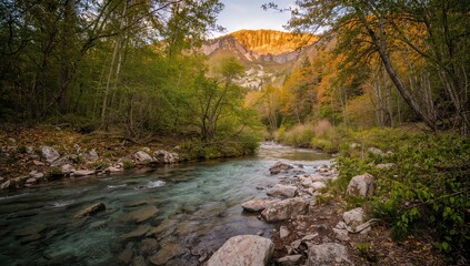 Mountain forest creek water, seasonal change, spring landscape with autumn hues