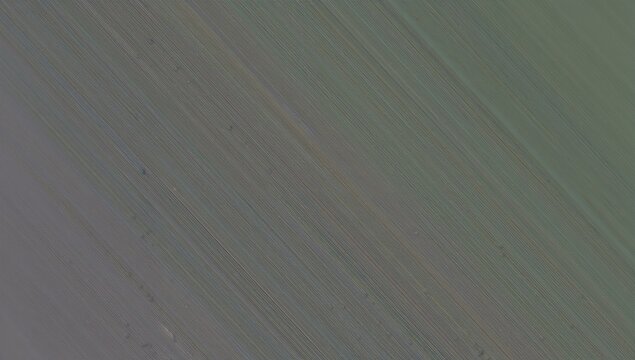 Colorful graphic illustration with a blurry gradient background texture, suitable for paper design and book covers