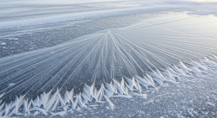 Intricate frost patterns form delicate crystalline structures on a frozen surface, creating a mesmerizing natural display.