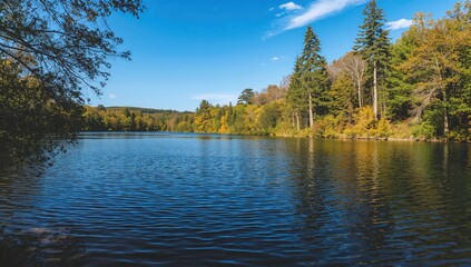 Fototapeta premium Woodland Adjacent to Azure Lake Waters, Preservation