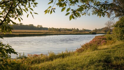 Obraz premium Dawn riverbank scene with flowers and grass, seasonal change, summer